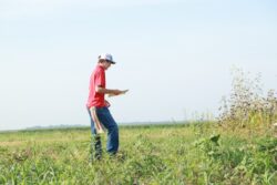 Person wearing a red shirt and jeans standing in a grassy field, holding a paper or clipboard. Person wearing a red shirt and jeans standing in a grassy field, holding a paper or clipboard.