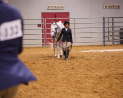 A handler in formal show attire leads a white horse across an indoor arena with sandy flooring and metal fencing. A handler in formal show attire leads a white horse across an indoor arena with sandy flooring and metal fencing.