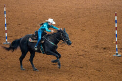 A rider in bright turquoise attire gallops on a black horse across a sandy arena, passing two upright poles marked with red, white, and blue stripes. A rider in bright turquoise attire gallops on a black horse across a sandy arena, passing two upright poles marked with red, white, and blue stripes.