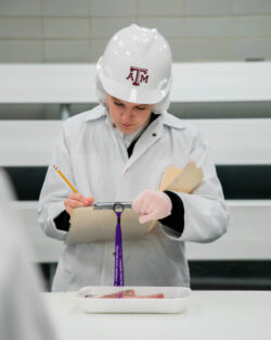 Person wearing a white lab coat and Texas A&M hard hat writes notes on a clipboard while examining a meat sample in a tray. Person wearing a white lab coat and Texas A&M hard hat writes notes on a clipboard while examining a meat sample in a tray.