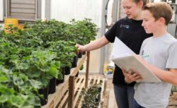 Two individuals examining potted plants in a greenhouse while taking notes. Two individuals examining potted plants in a greenhouse while taking notes.