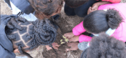 A group of children gathered closely around a small plant, using their hands to gently press soil around its base. A group of children gathered closely around a small plant, using their hands to gently press soil around its base.