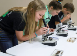 Hands-on learning with microscopes in a STEM classroom. Students using microscopes to examine specimens during a science activity.