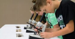 Hands-on science learning with microscopes at a STEM education event. Students using microscopes to examine prepared slides during a STEM activity.