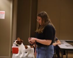 Practicing veterinary techniques using a dog model. Person standing at a table with a plush dog model during a veterinary skills activity.