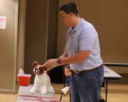 Learning animal care techniques through simulation. Participant performing a procedure on a plush dog model during a veterinary workshop.