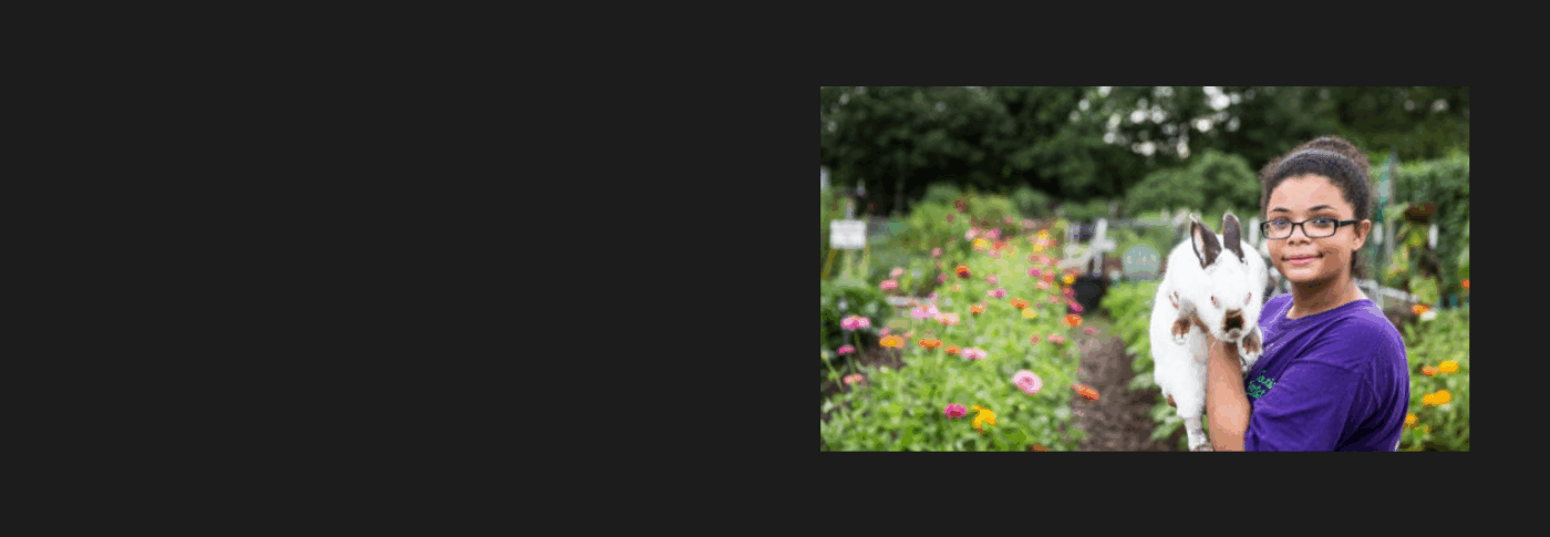 Person wearing a purple shirt holding a white rabbit with brown markings in a vibrant garden.