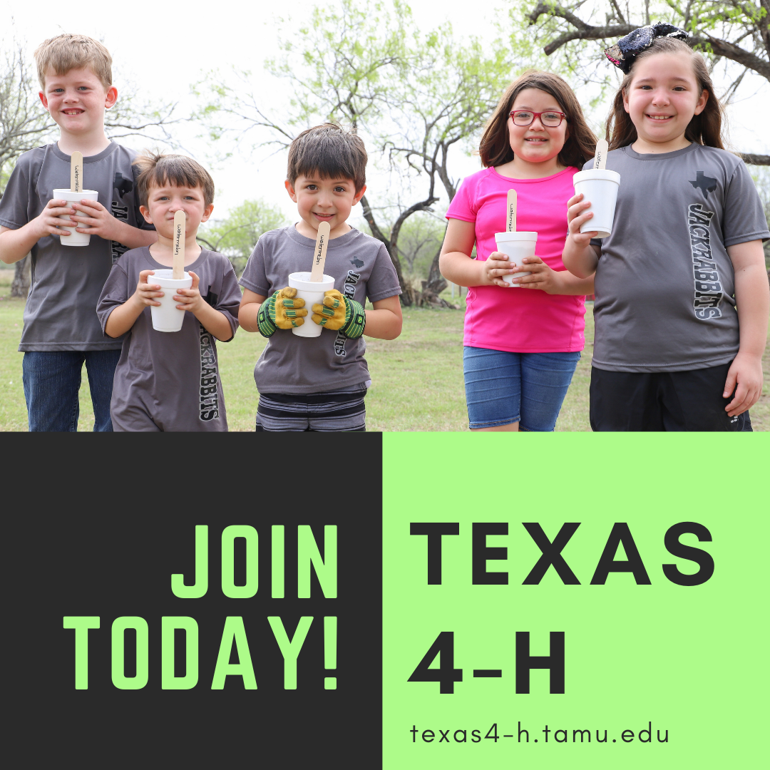 Texas 4-H Quiz Bowls - Texas 4-H