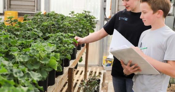 Two individuals examining potted plants in a greenhouse while taking notes.
